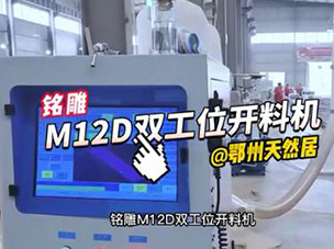 M12D双工位数控开料机到达鄂州天然居板材切割视频